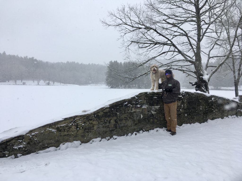 Dog on snowy rock wall, standing with man.