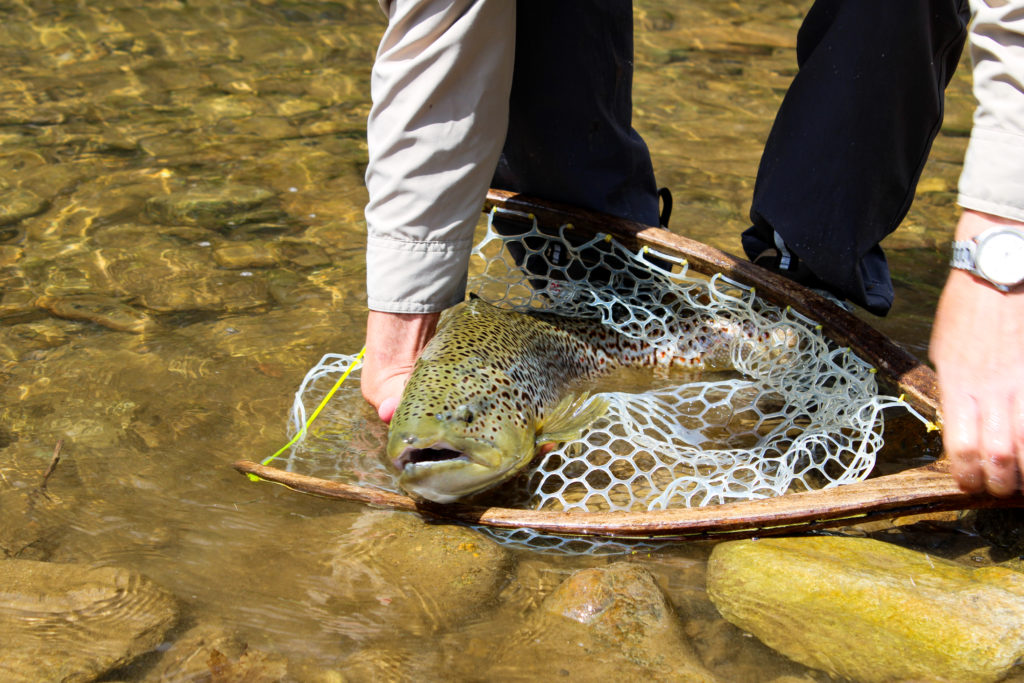 Netting a Fish Archives - Chetola Resort at Blowing Rock