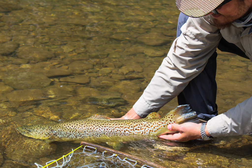 Tips to Improve Your Fly Fishing Photography