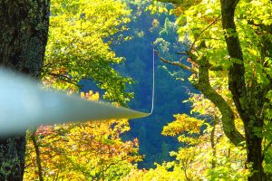 Chetola Resort At Blowing Rock In The North Carolina Mountains