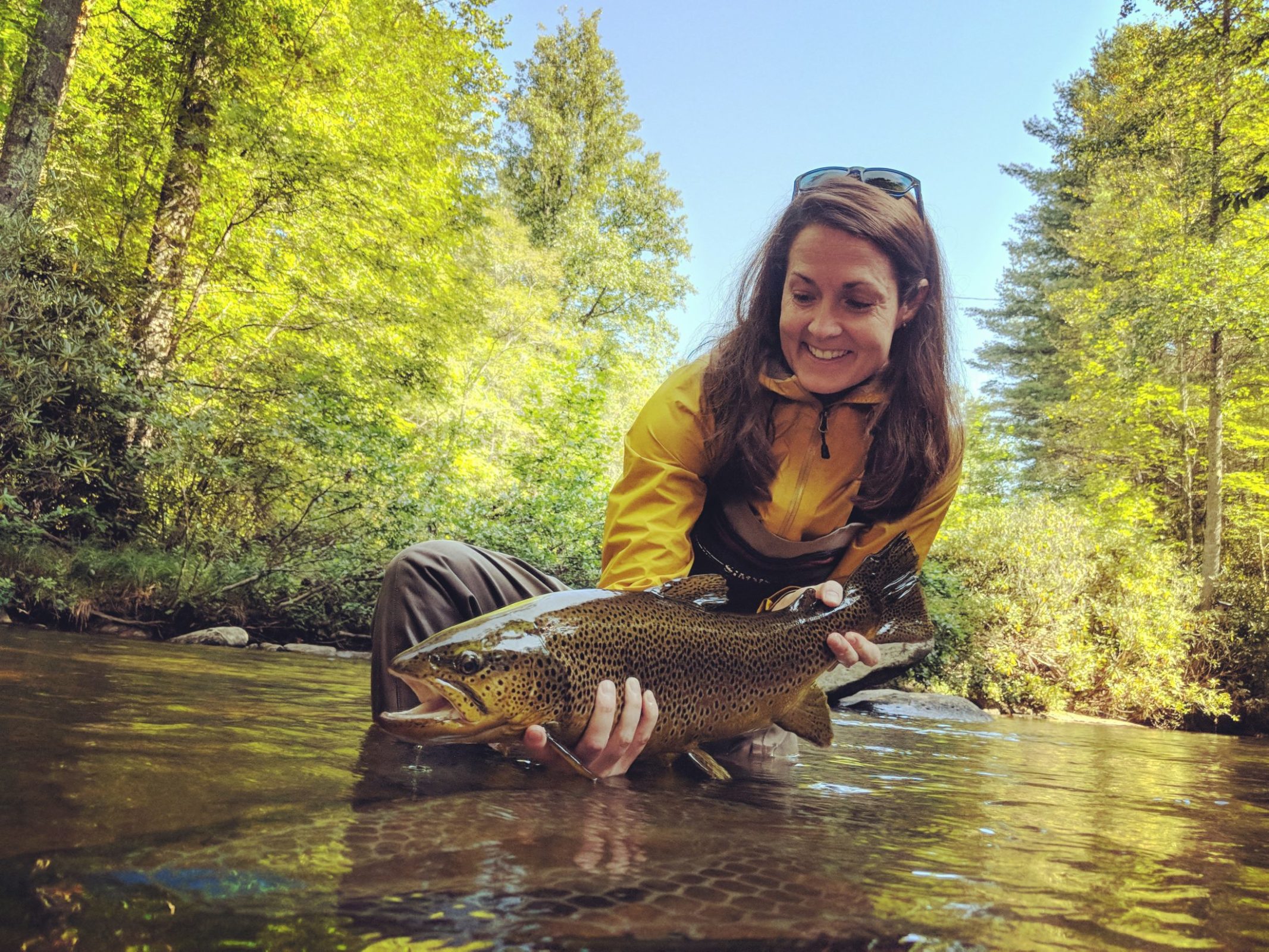 Blue Ridge Parkway Masters FlyFishing Tournament Chetola Resort at