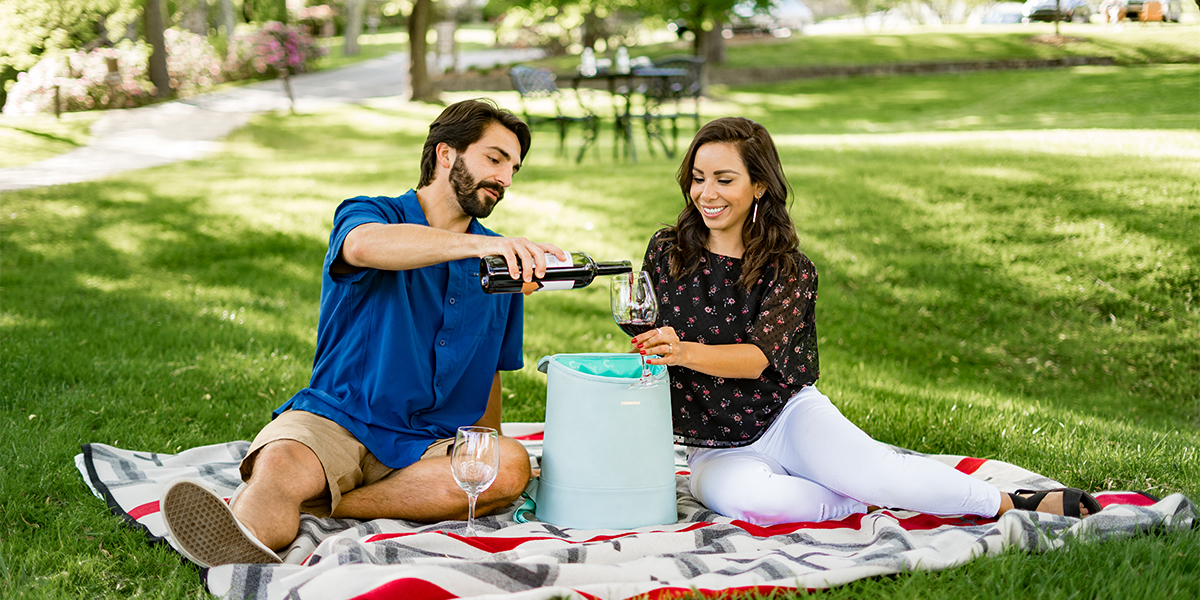 Wine Picnic